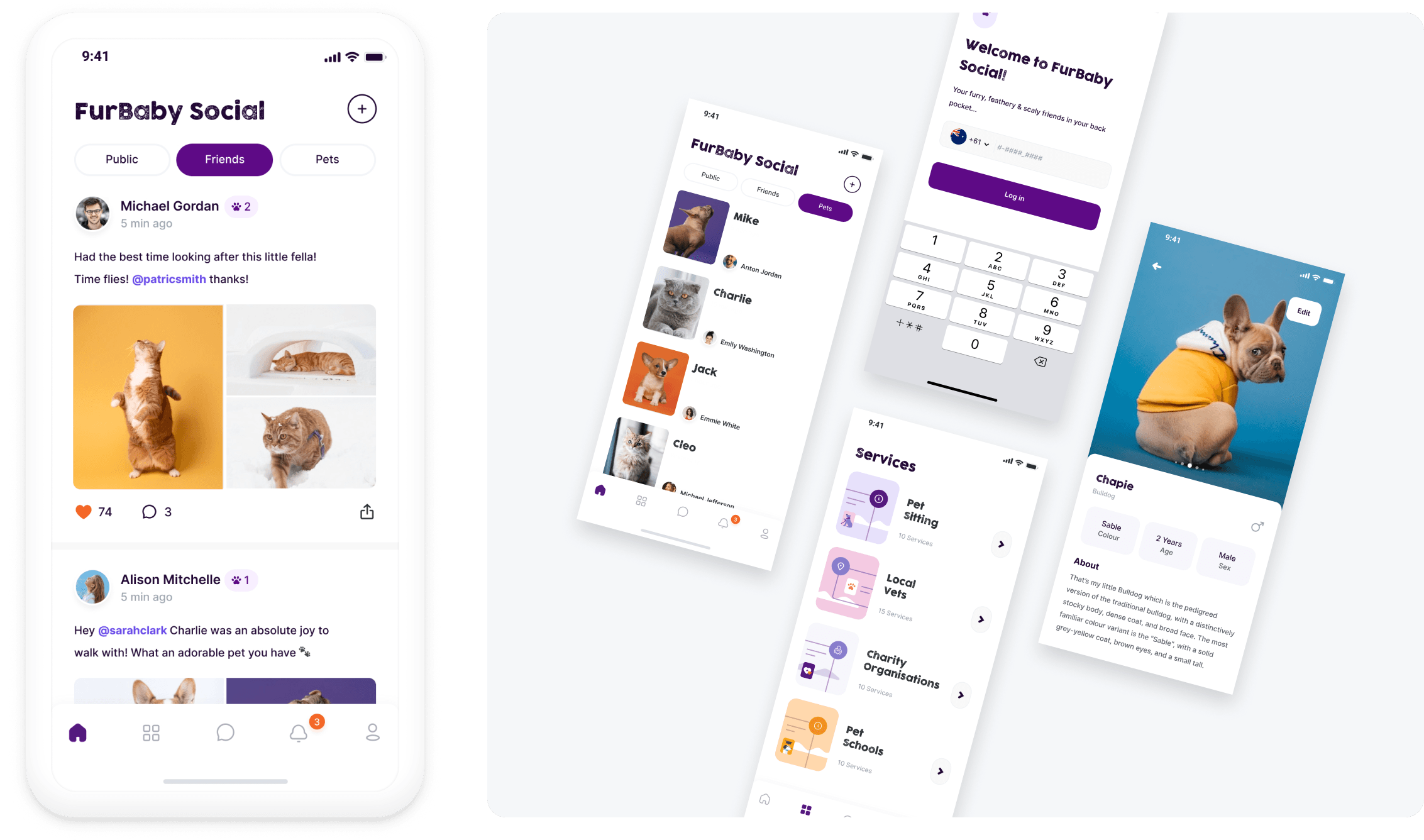Project: Building a digital community for pet enthusiasts and service providers to connect